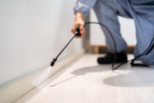 Certified termite inspector examining foundation in Watergate